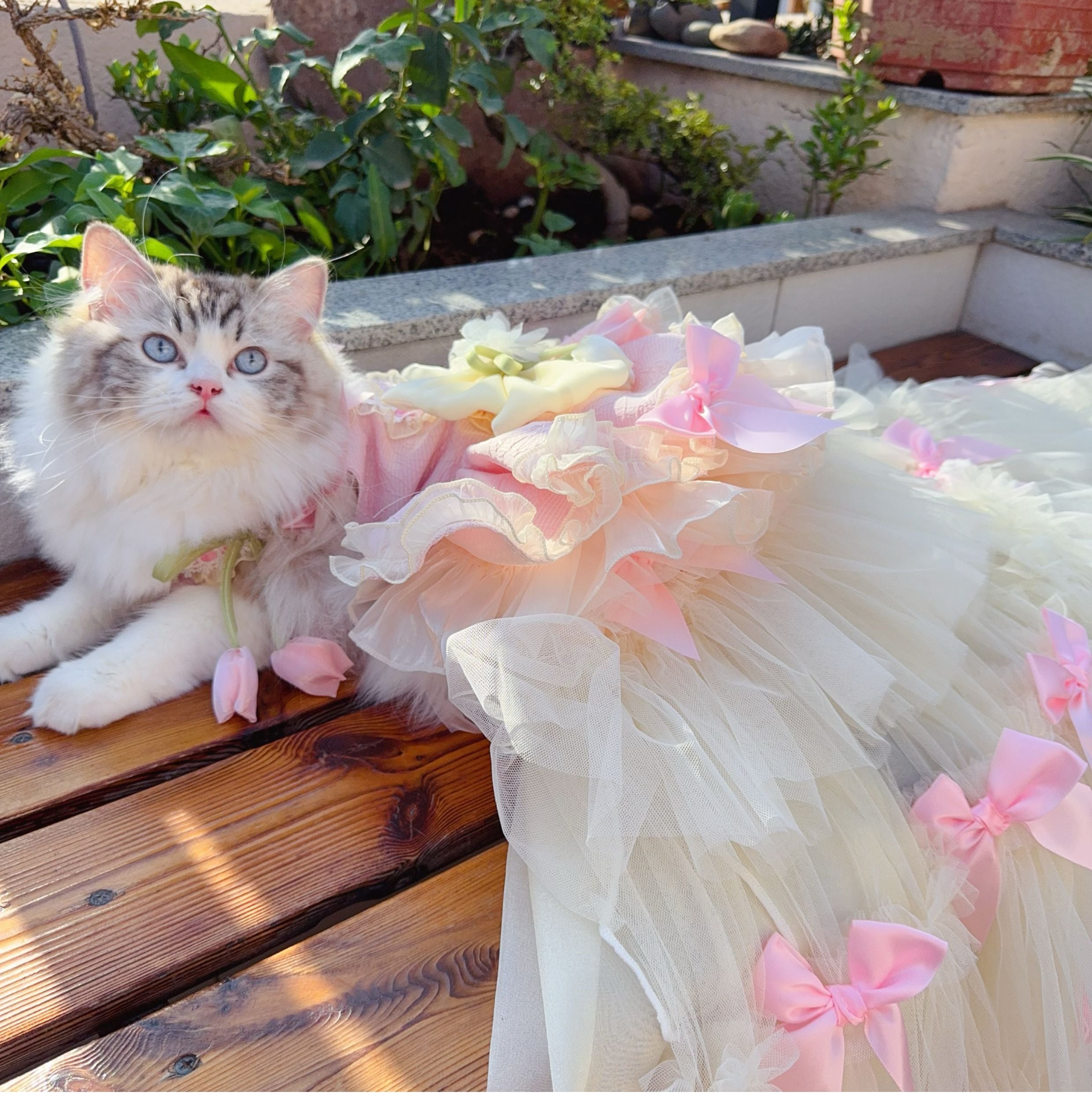 ブルーミングチューリップドレス 00643