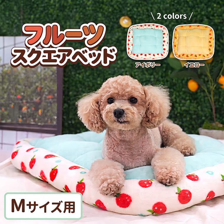 tangerine bed M size / 犬用 ベッド スクエア Mサイズ ふんわり 冬 クッション 滑り止め 韓国 ペットベッド 小型犬 中型犬 犬 ハウス 柔らか ふわふわ ソファー ボア もこもこ可愛い