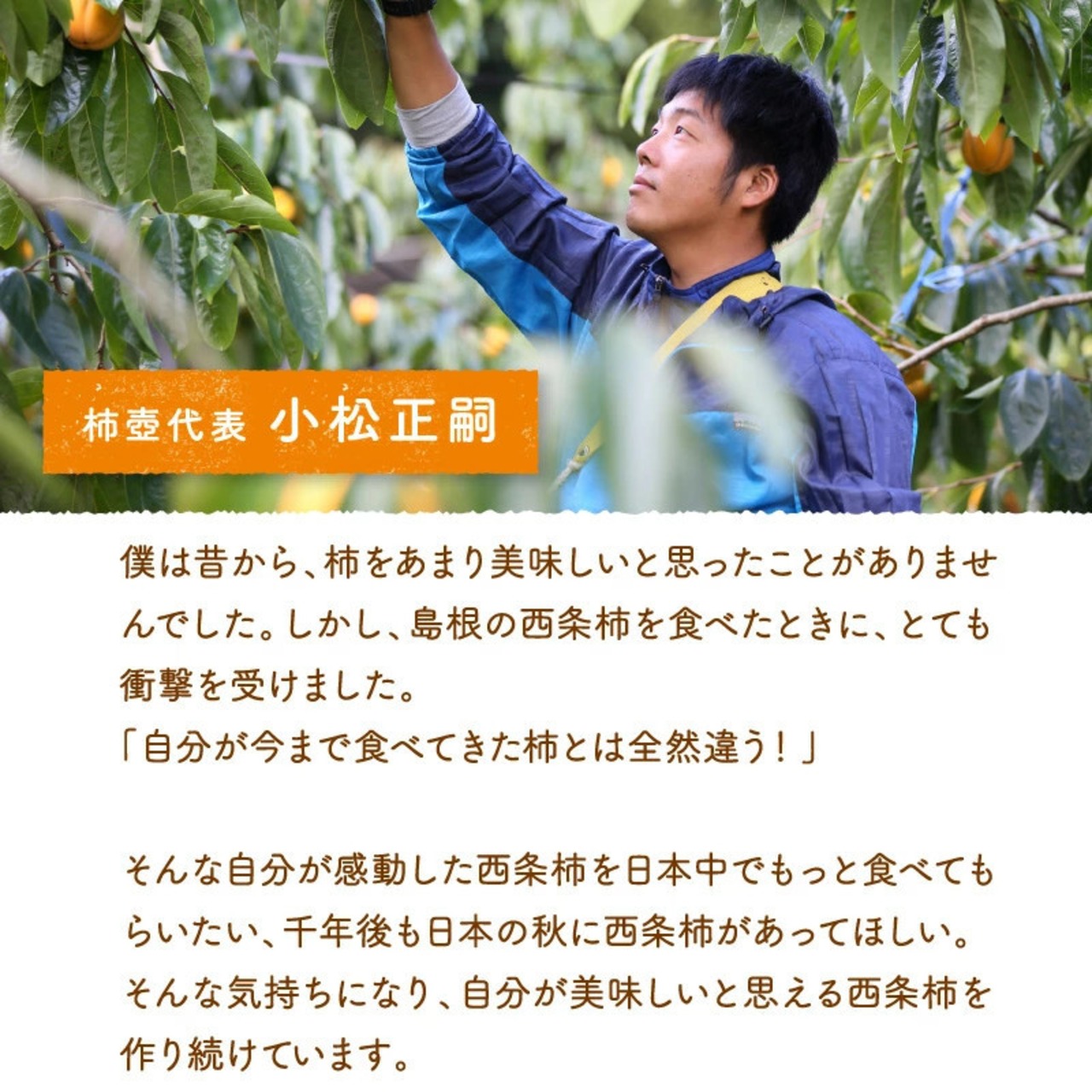 【2025年産】【11月発送】西条柿 2L 28玉（5ｋｇ）たしなみ