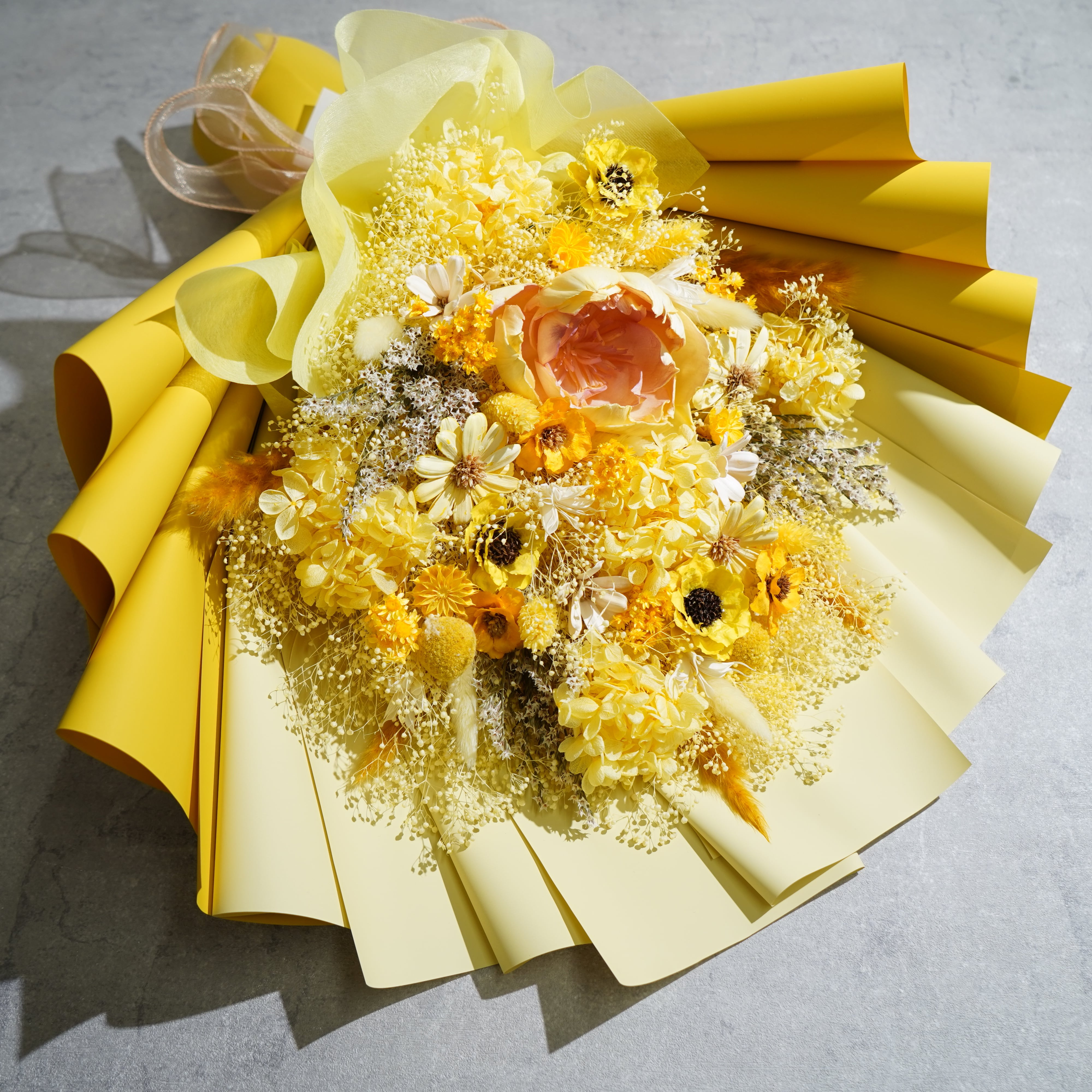 LLサイズ以上(～65cm) | Calon DRY FLOWER 公式オンラインショップ