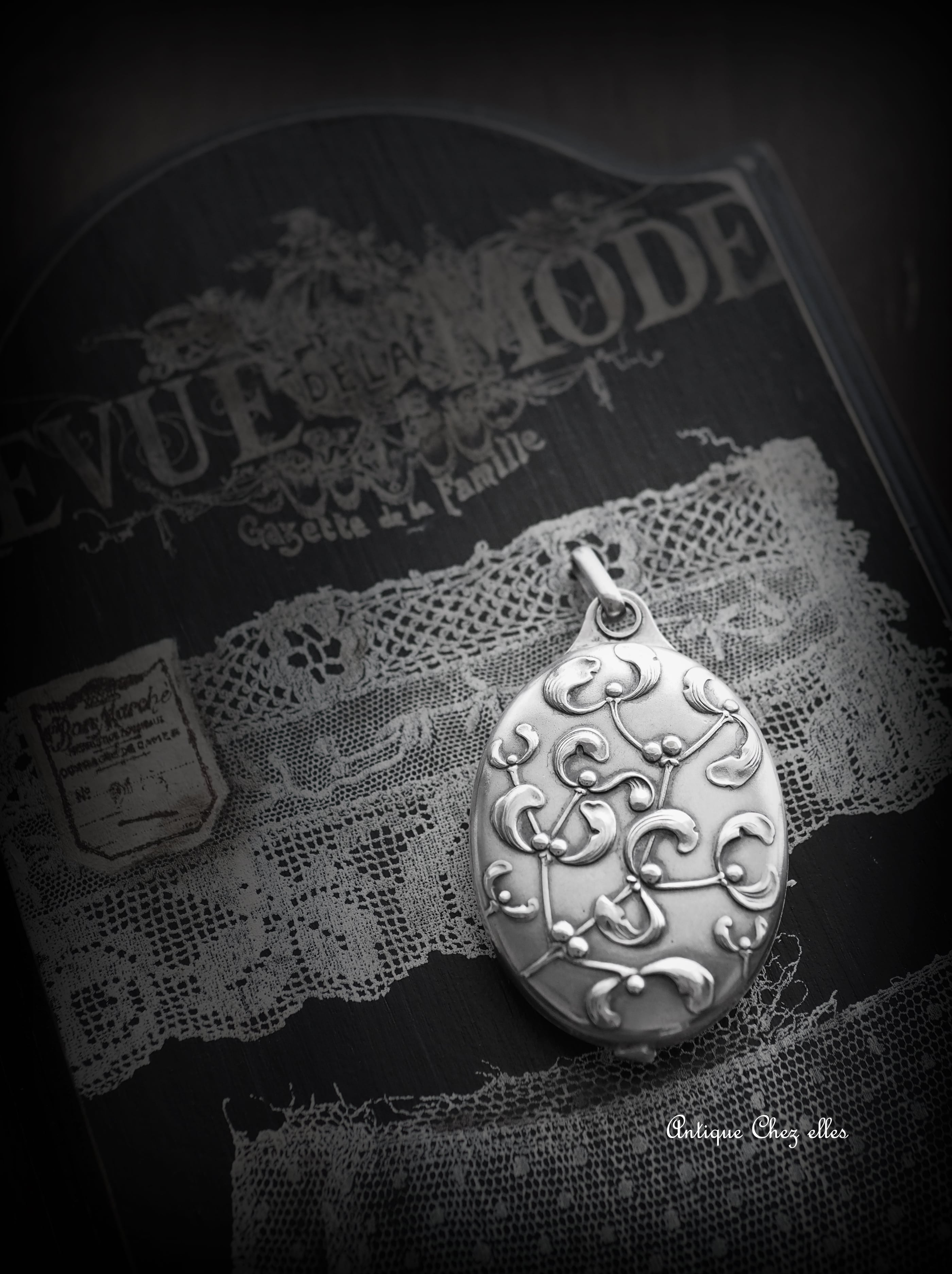 ヤドリギのシャトレーンスライドミラー