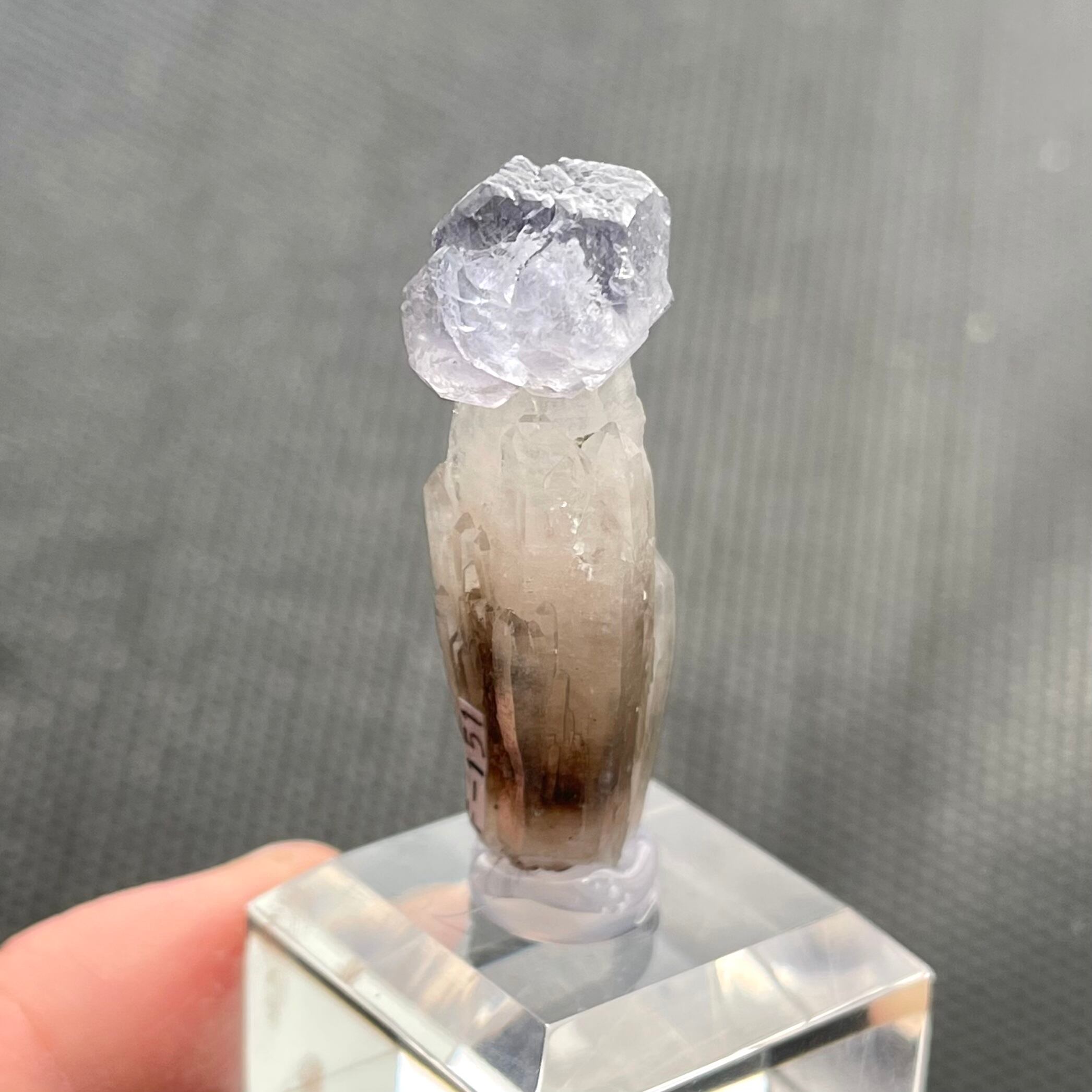 フローライト / クォーツ【Fluorite on Quartz】メキシコ産 | PEANUTS