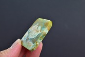 Blue Opalized Petrified wood