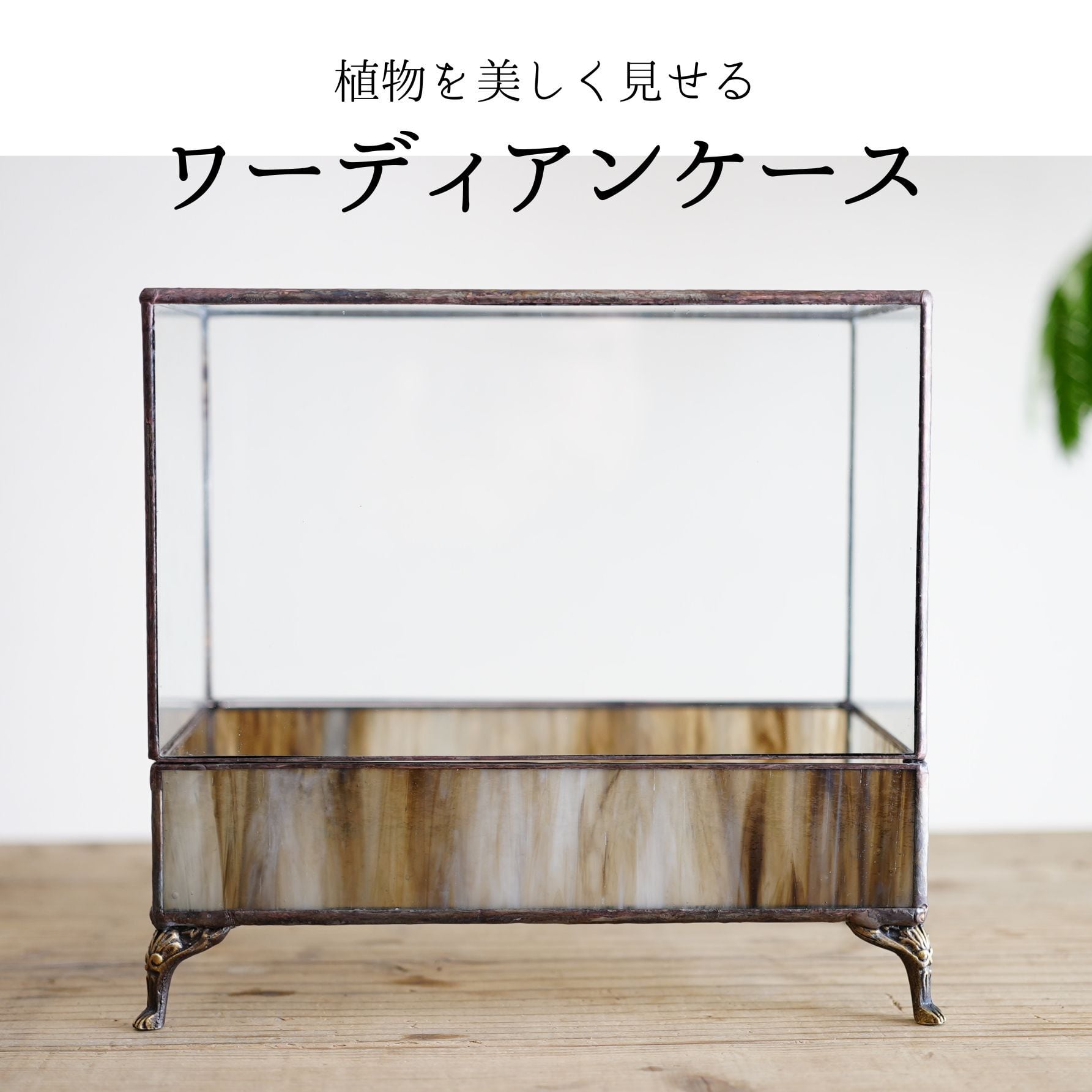 限定5台】植物を美しく見せるワーディアンケース｜IKUIT×道草コラボ