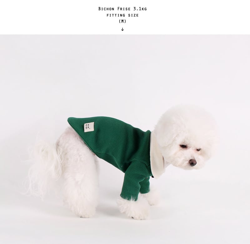 コーデュロイTシャツ S ~ XL 3color / 犬服 春物 新作 おしゃれ ドッグウェア 可愛い 犬の服 小型犬 中型犬 ペット用品 ペット洋服 top27