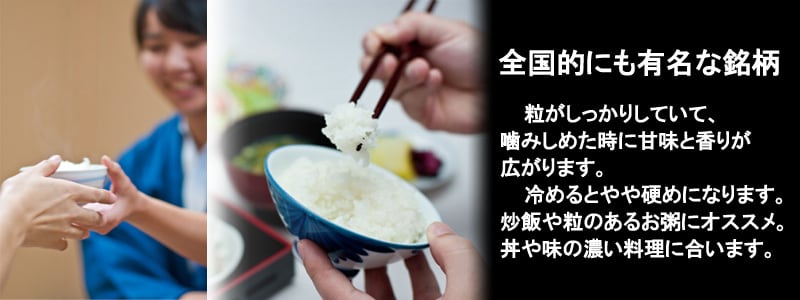 令和7年産 登米産 コシヒカリ 玄米 10kg 農薬・化学肥料不使用栽培米
