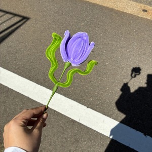 【アウトレット】チューリップ ＜試作品＞
