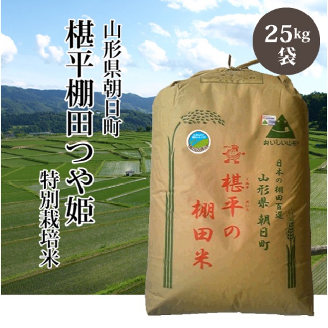 【令和5年産】山形県 「椹平(くぬぎだいら)つや姫」【特別栽培米】（白米／玄米 25kg）