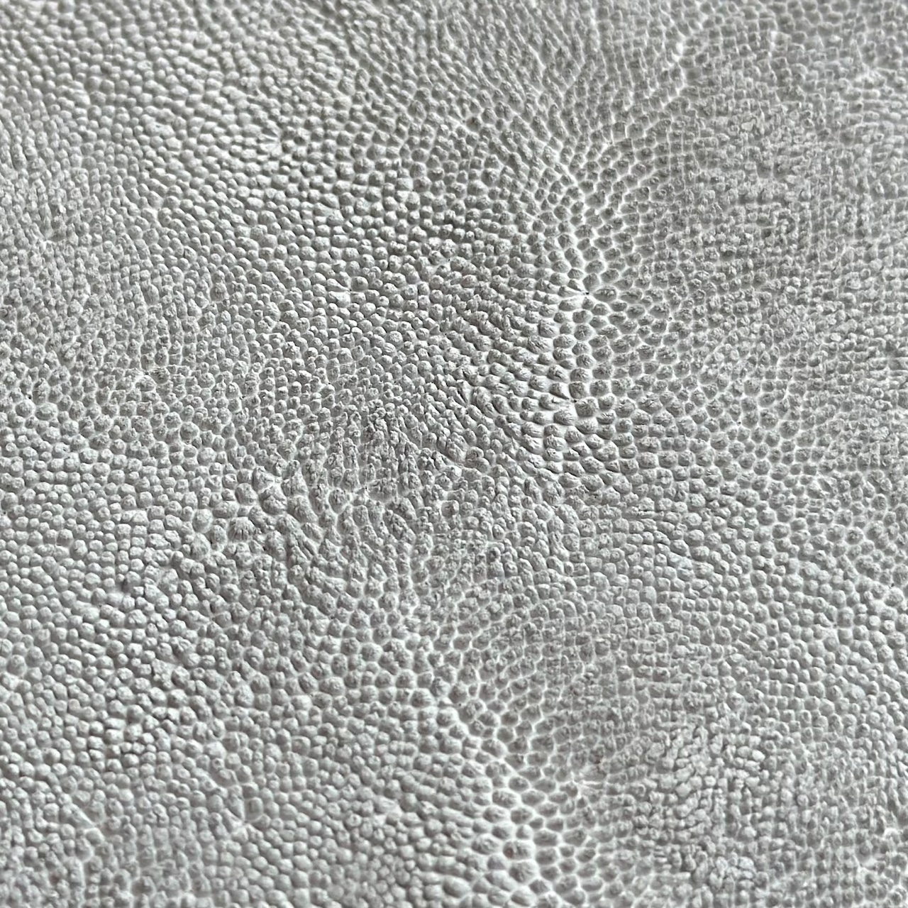 【限定商品】ウォレット ラウンドジップ エレファント(クラスト)