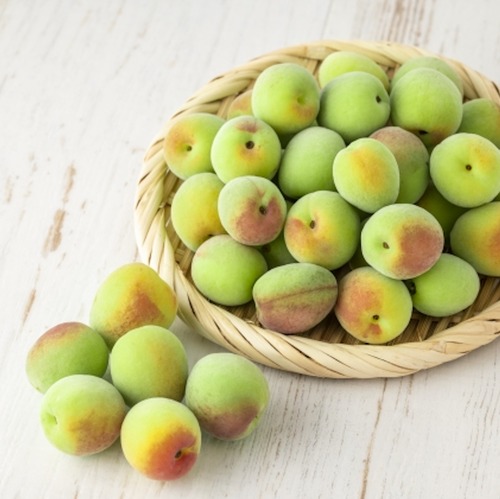 うめ発酵ドライフルーツ｜ギフト・お菓子・おやつ・発酵