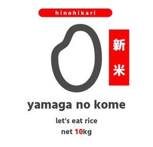 【2023年収穫米10キロ】yamaga no kome(ひのひかり）