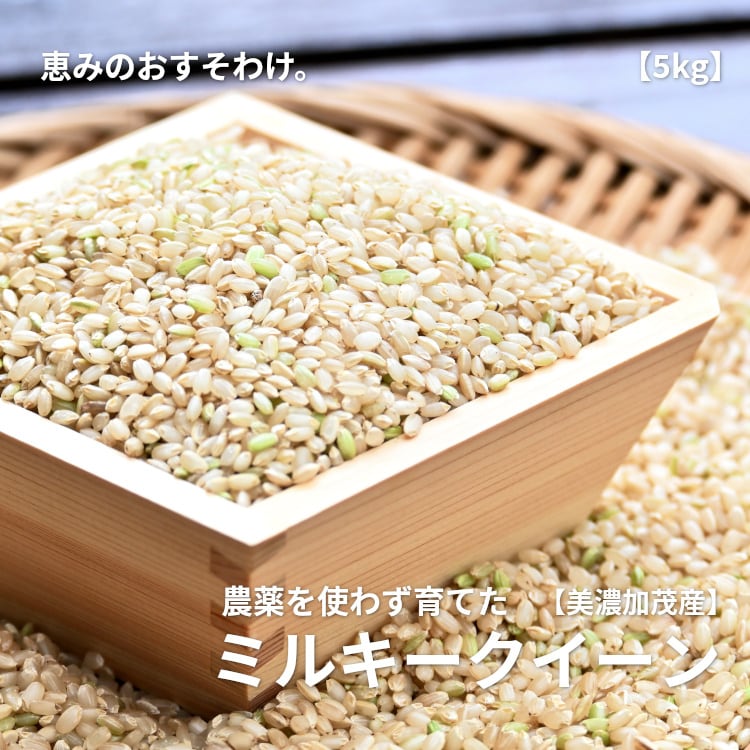 ミルキークイーン　精米　玄米　米/穀物