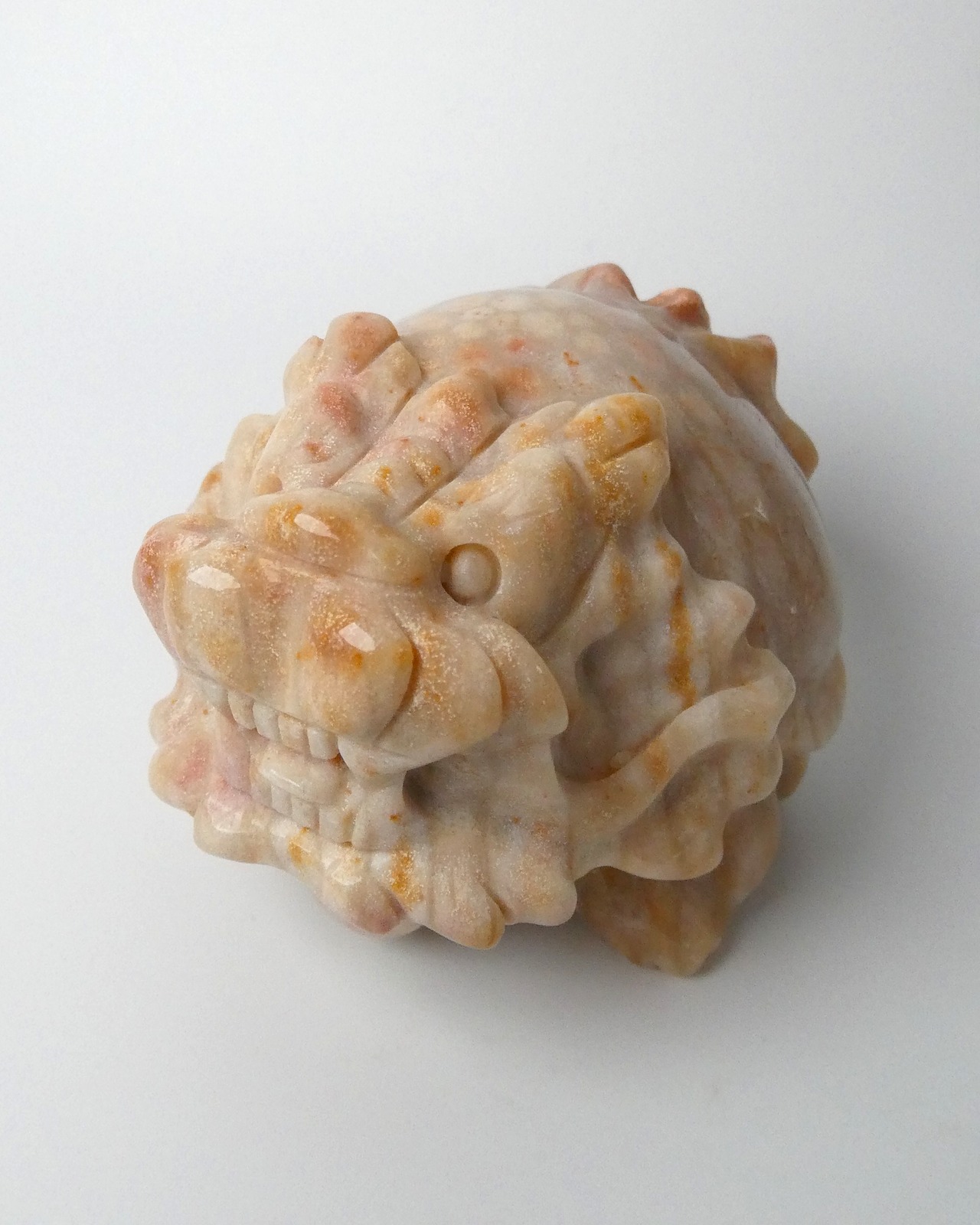 Fossil Coral フォッシルコーラル ⭓ 海の記憶 ⭔ ORIGINAL 龍亀