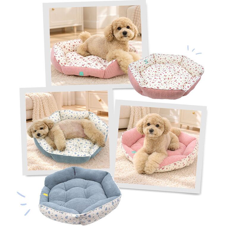 【予約販売10%OFF】jelly bear reversible bed 2color / 犬用 ベッド リバーシブル 両面 ふんわり 冬 可愛い クッション ペットマット 猫用 韓国 ペット用品 小型犬 中型犬 ハウス 高級 犬 ペットベッド