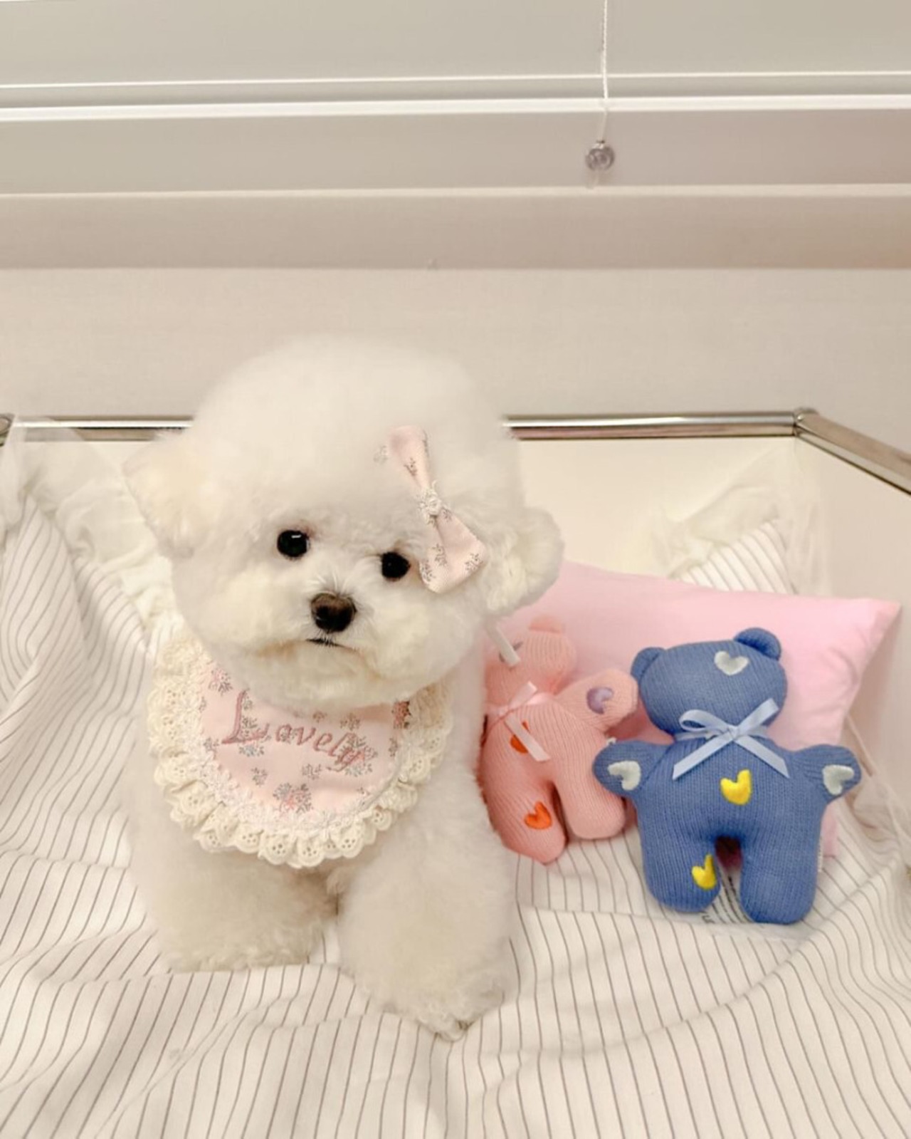 予約 【pecoramou select】Flower lovely bib