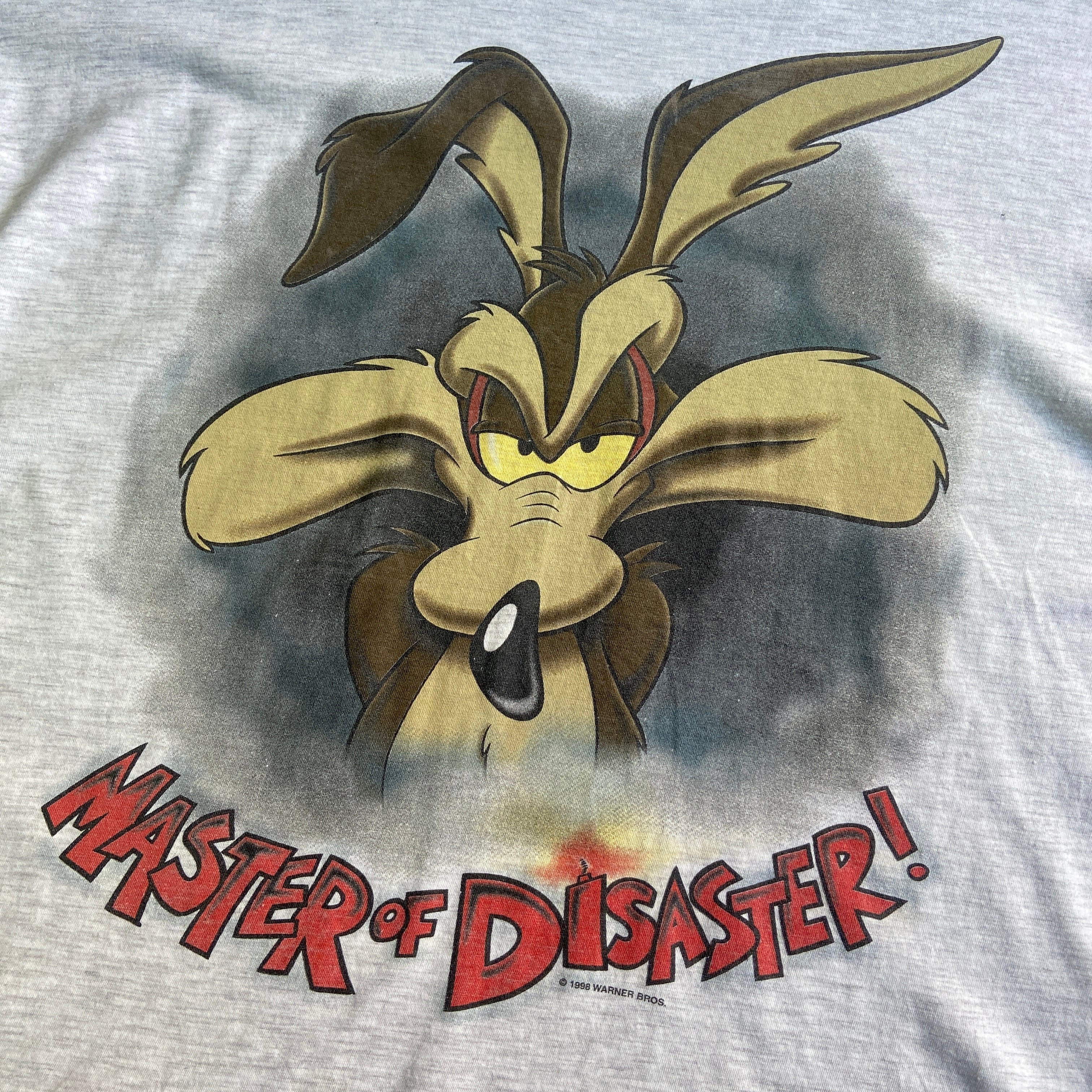 90年代 Looney Tunes ルーニーテューンズ ワイリー・コヨーテ 