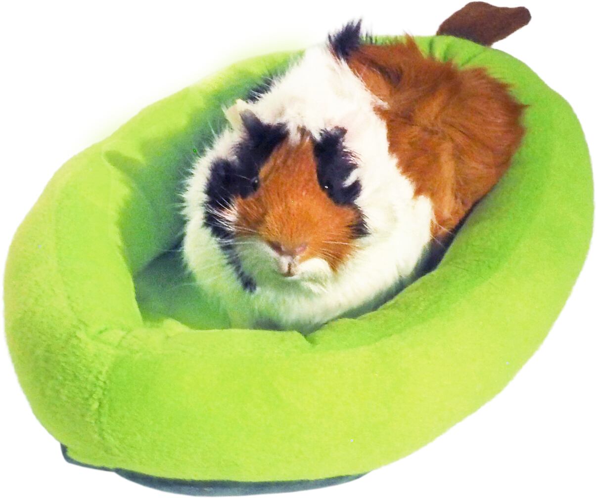 【小動物用品】フルーツベッド パパイヤ