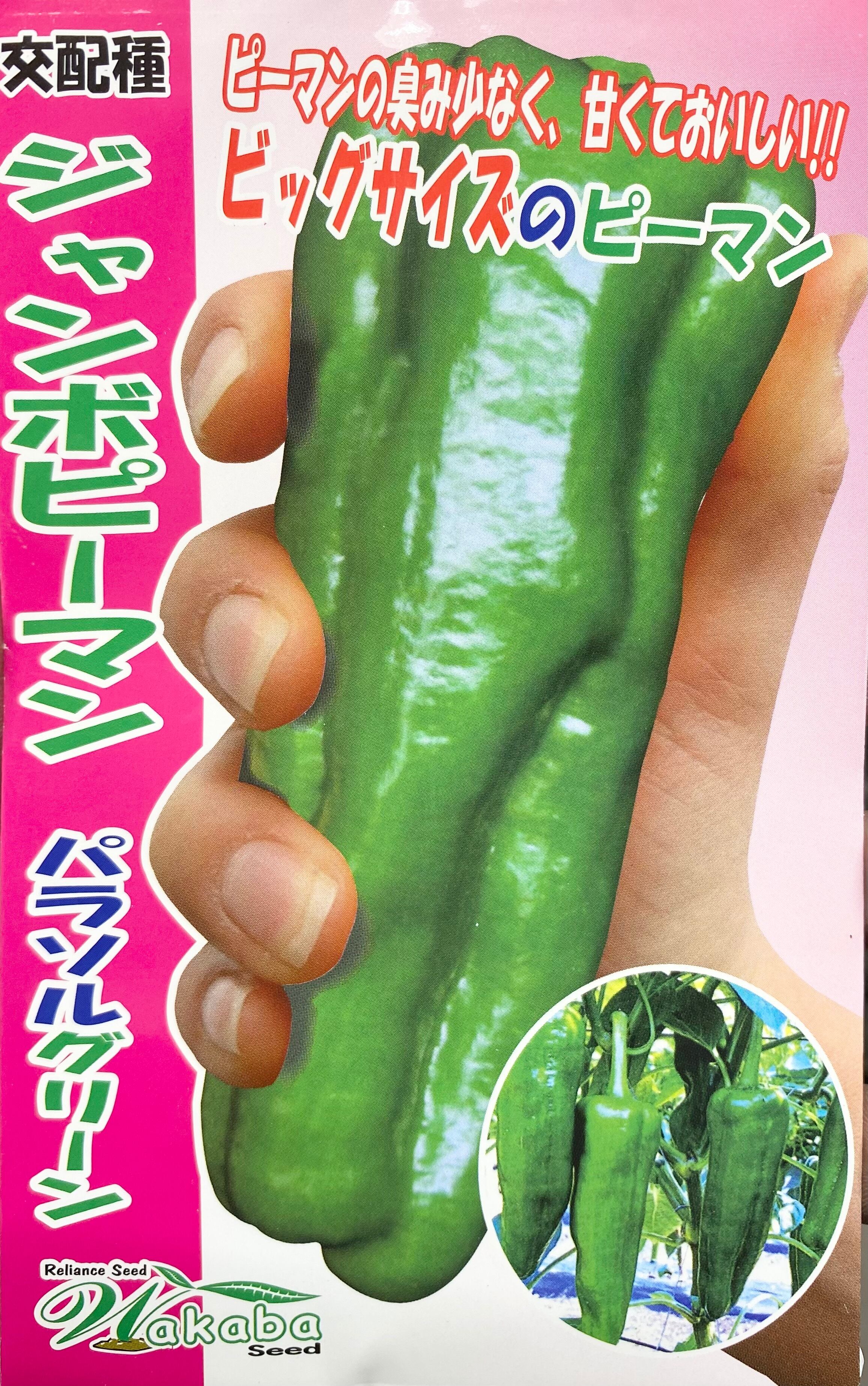 ピーマン 沖縄県産 野菜 島野菜 ピーマン ビックピーマン
