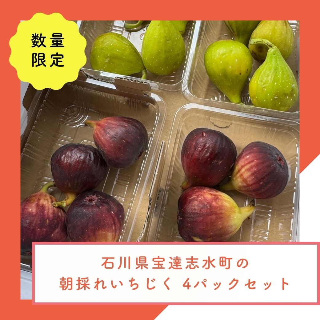 数量限定】石川県宝達志水町の朝採れいちじく 4パックセット