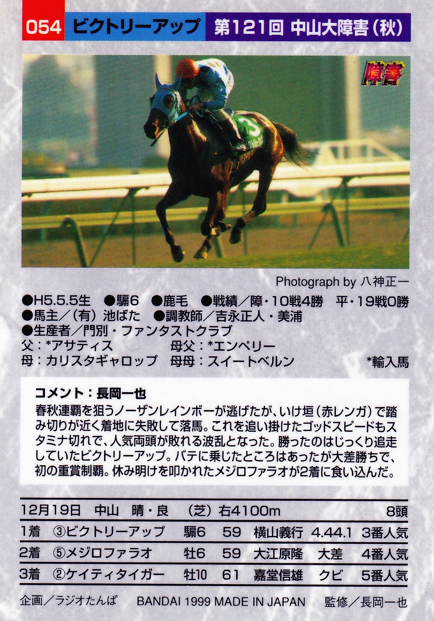 ビクトリーアップ：第121回 中山大障害(秋)「サラブレッドカード 98年