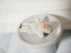 立ち姿のスノーベビー（E) 画像6