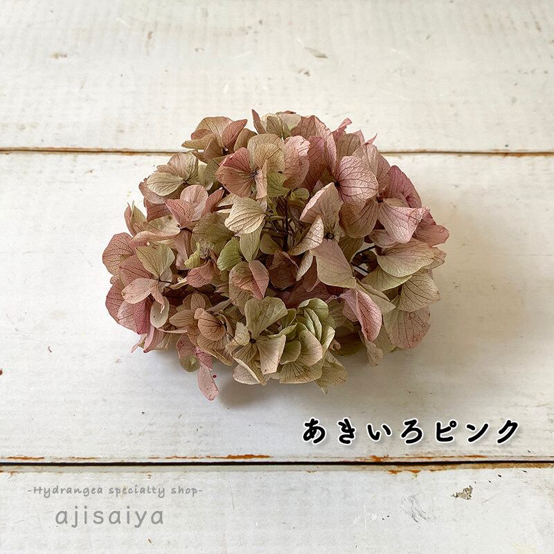 プリザーブド加工ひめあじさい全9色 こわけ Oh ひめあじさい プリザーブドフラワー 紫陽花 アジサイ 自然素材こわけ専門店 あじさいや