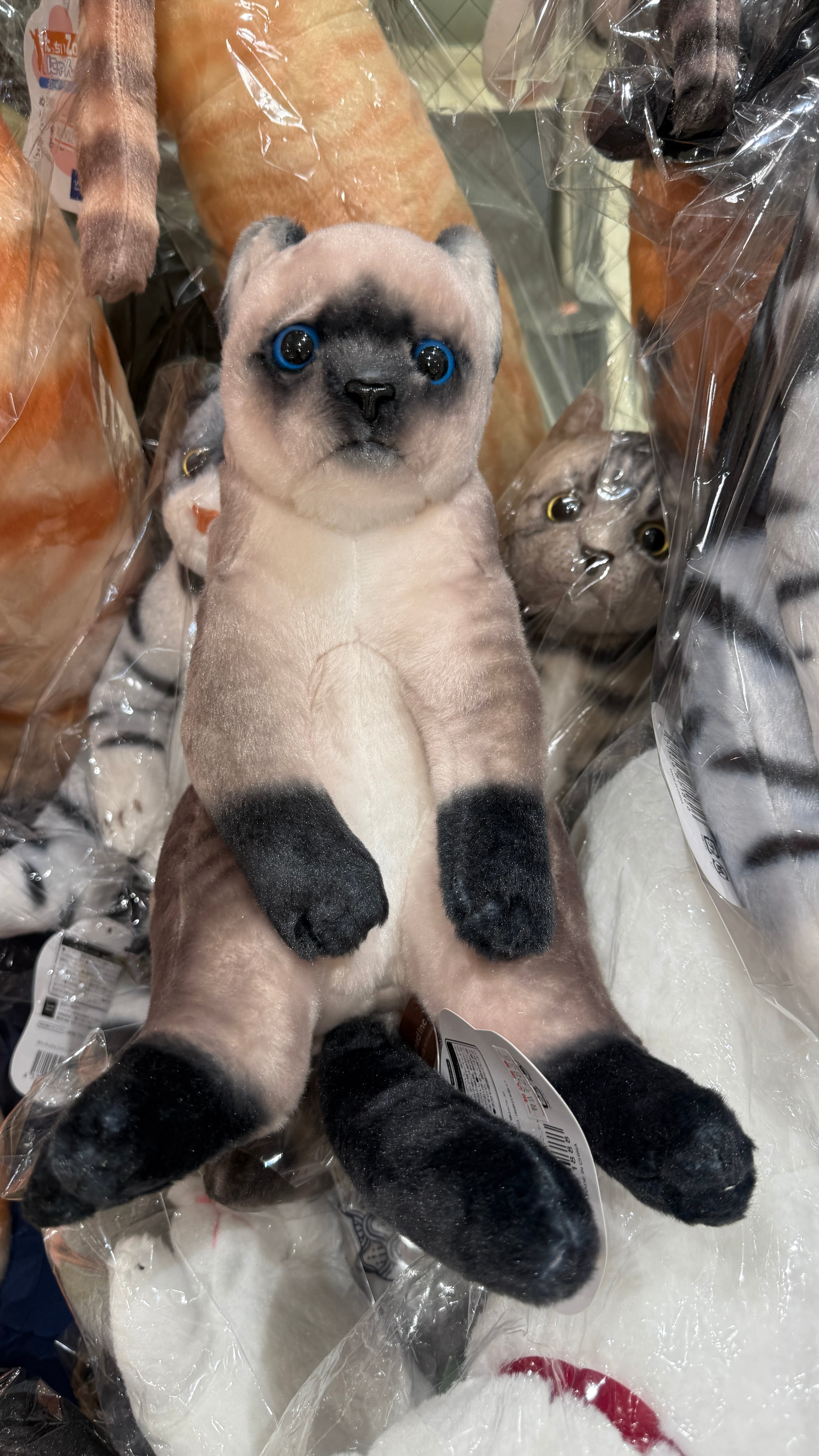 すわっちぃZooにゃんこ | 猫雑貨屋 飛び猫商店