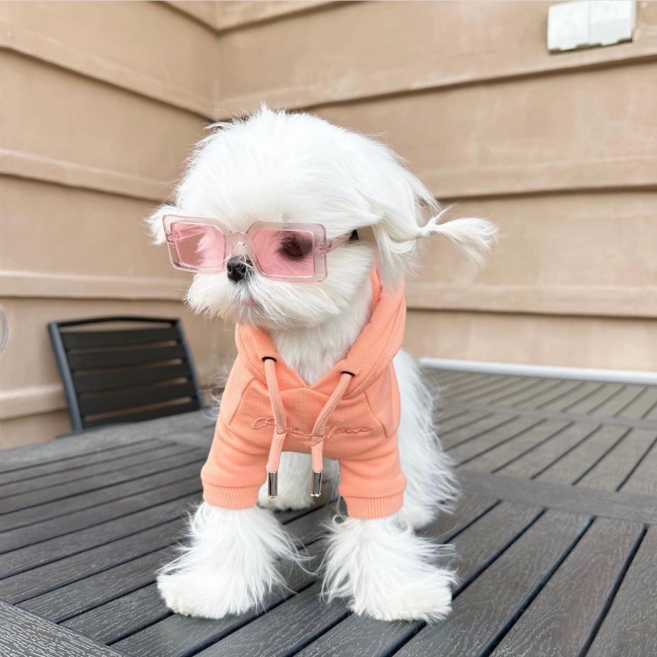 PASTEL HOODIE / OVER GLAM