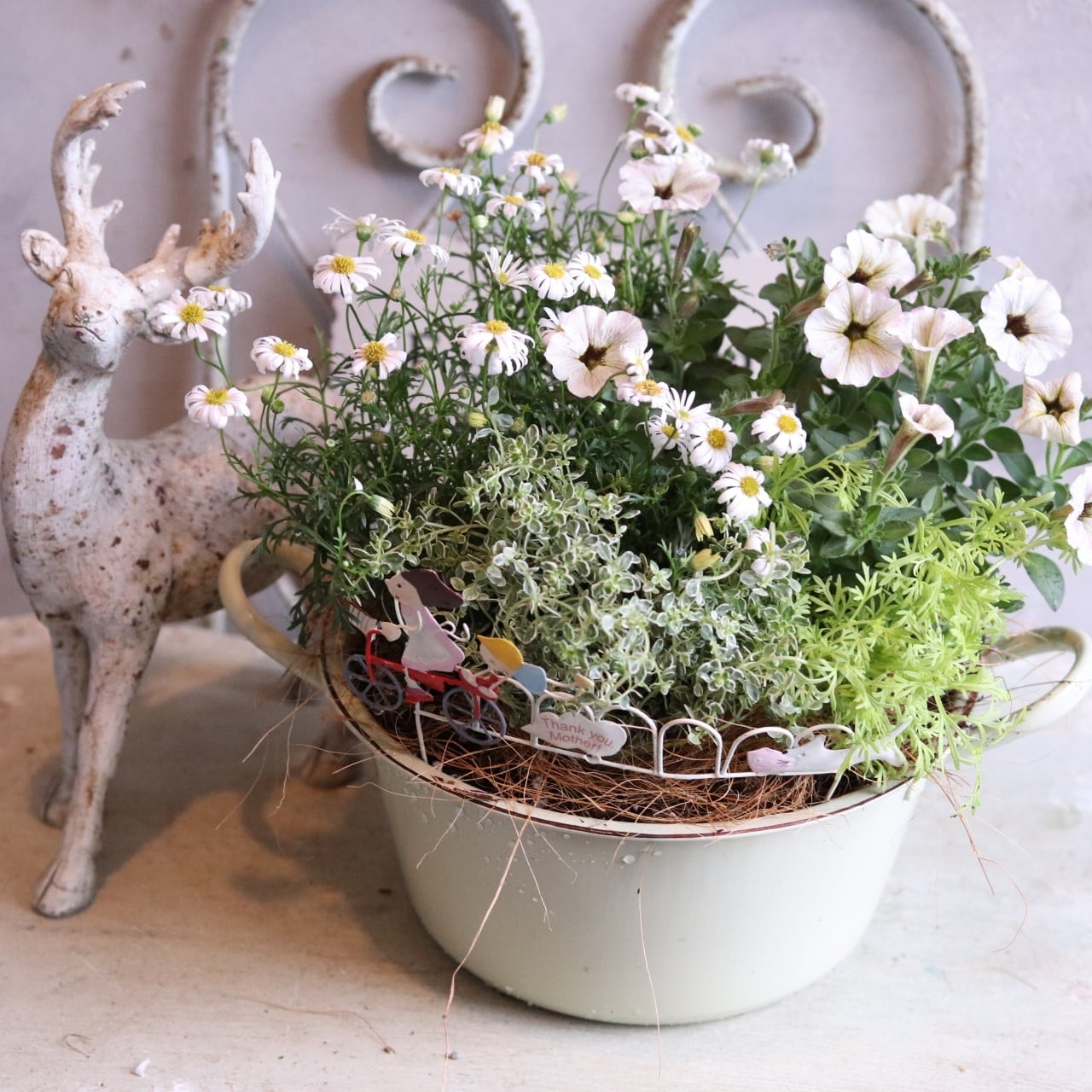 オーダー寄せ植え3500円 | シャビーシックな寄せ植え・雑貨