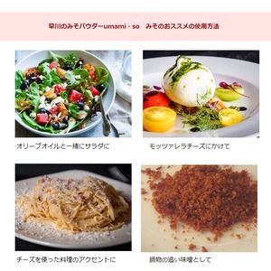 【ギフト袋に入れてお届け！】早川しょうゆみそ 早川のみそパウダー umami・so 3種セット(みそプ・柚子・ごま 各70g）乾燥味噌 詰め合わせ