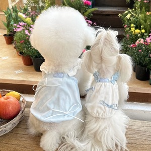 【PET】全2色リボン付きキャミワンピース