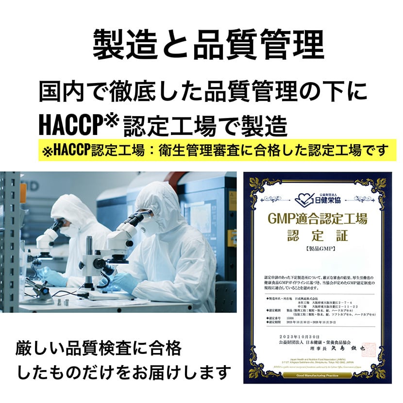 母の日ギフト 2026 リタヘルス5000