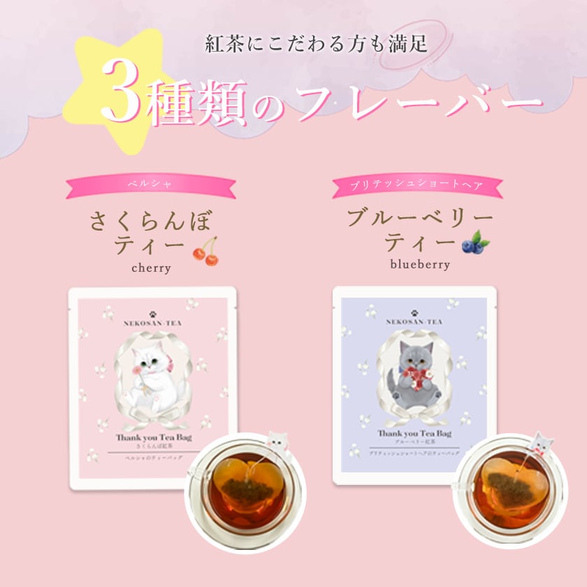 ありがとうねこさんティー (NEKOSAN-TEA) ペルシャ (さくらんぼ