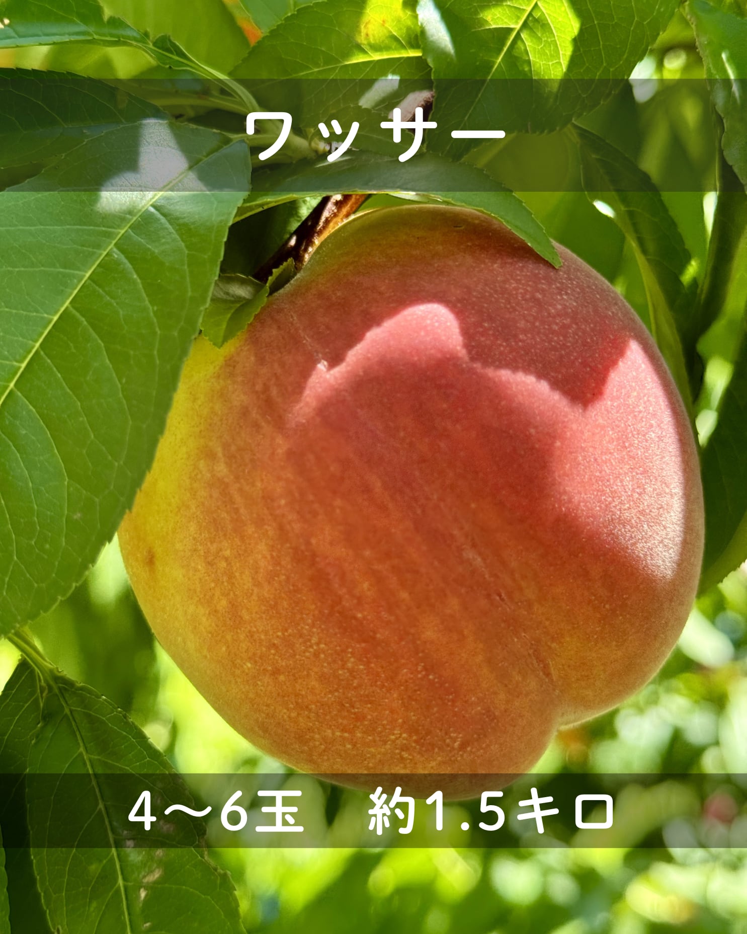 0670dc26175e09417ab29cd770f44a