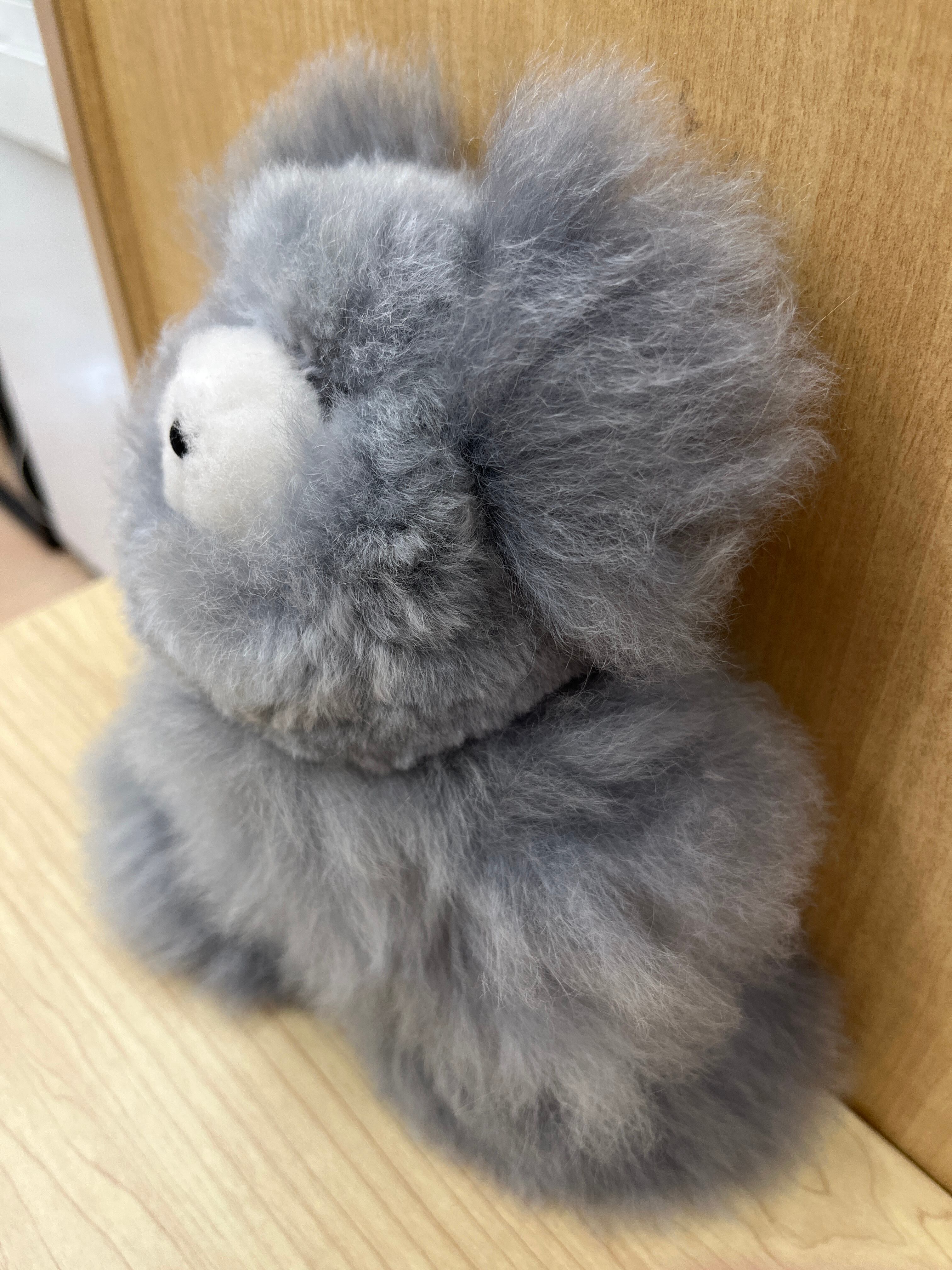 ベビーアルパカ純毛テディベア 中 グレー612 | ALPACA WORLD