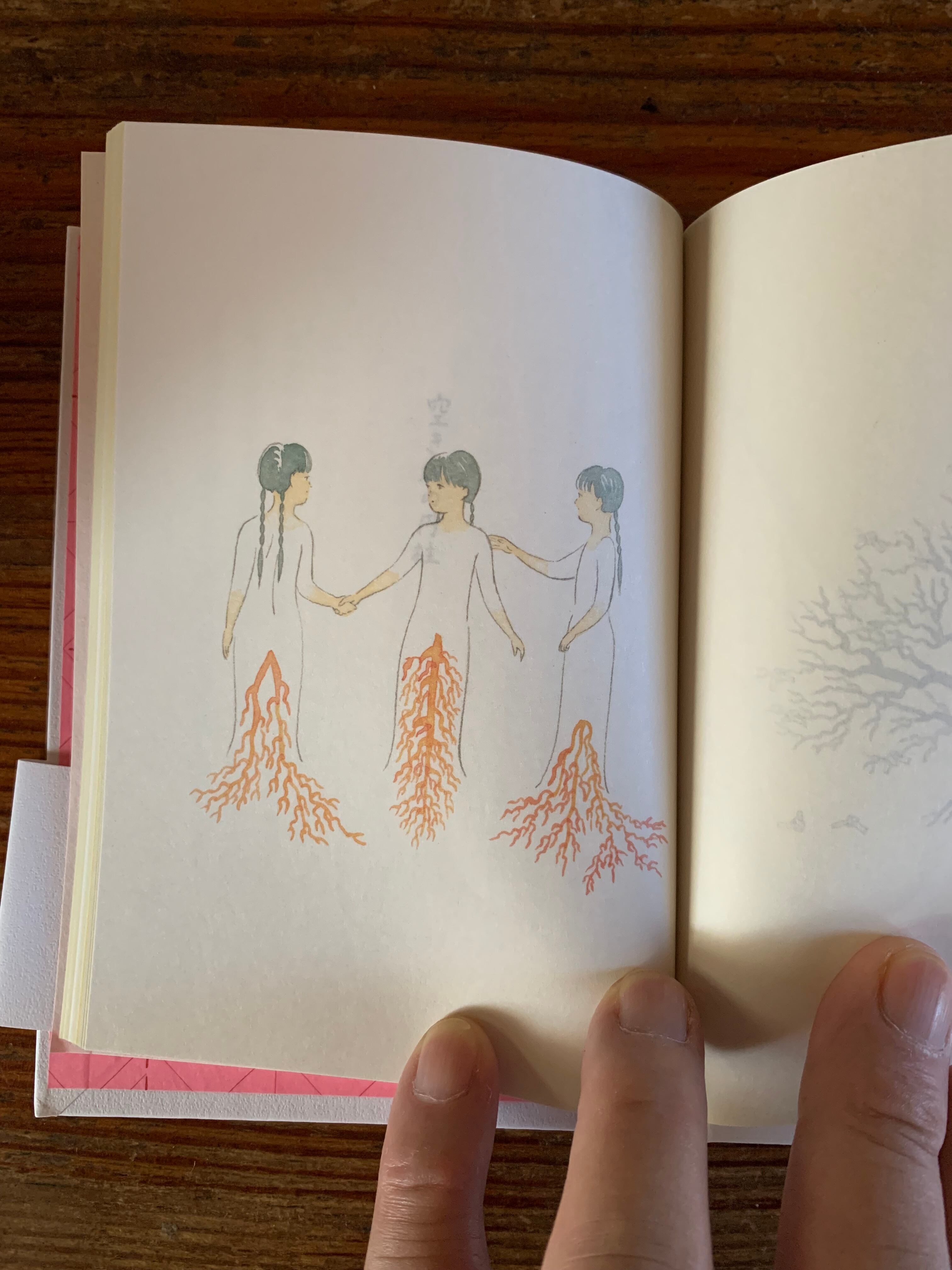 近藤聡乃 直筆イラストサイン本「いつものはなし」