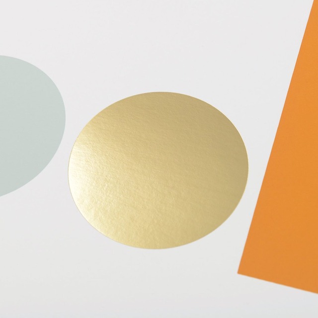 TOM PIGEON/Object Print 2