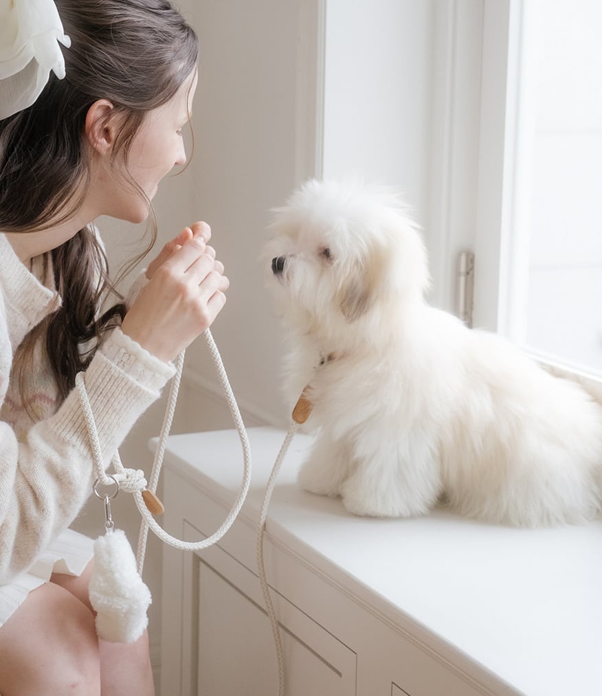 即納【stroll】Rope Leash Slim (Oatmeal)