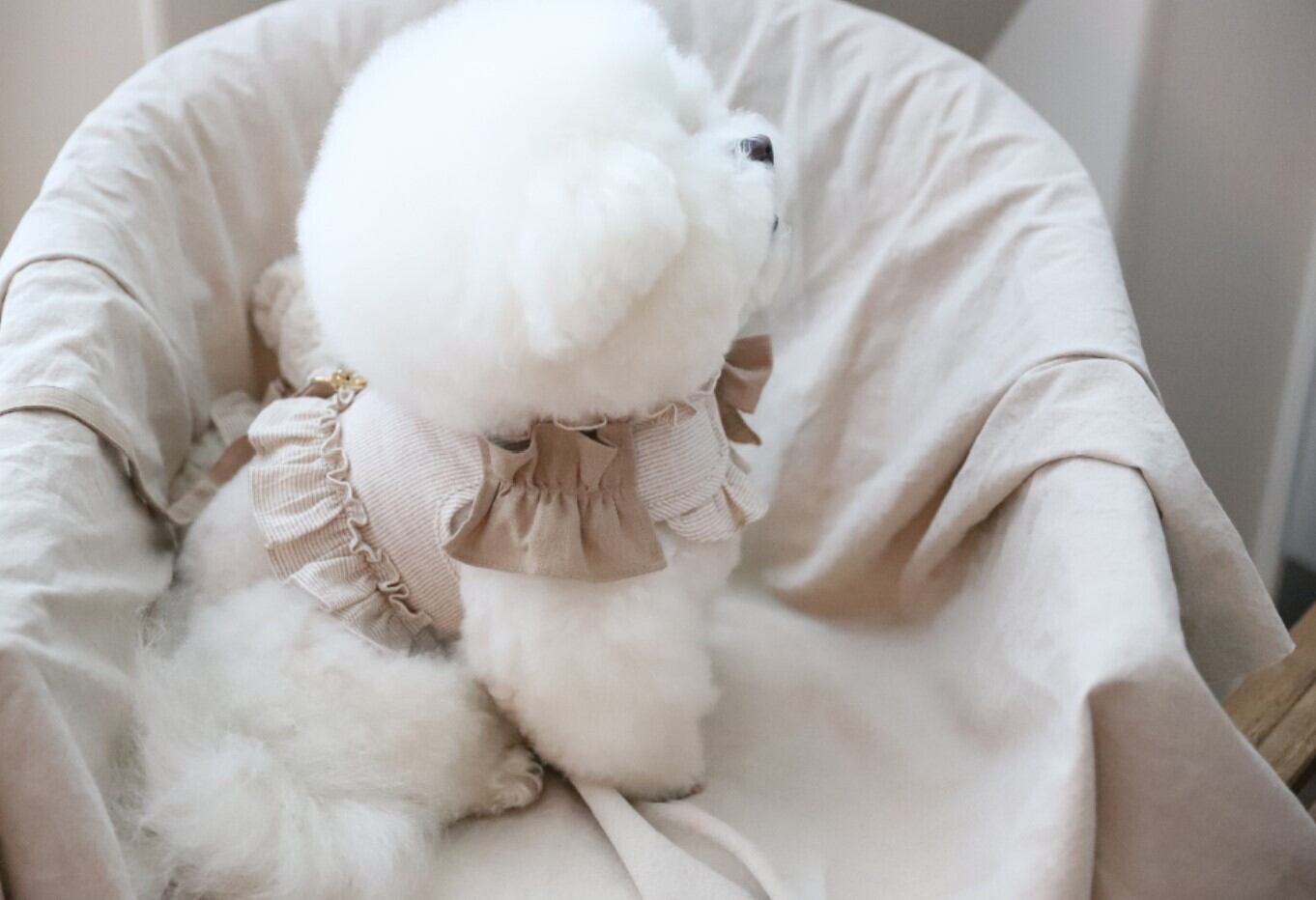 XL/即納【COZY N】Cozyn Linen Harness《BeigeStripe》 | haneulpet