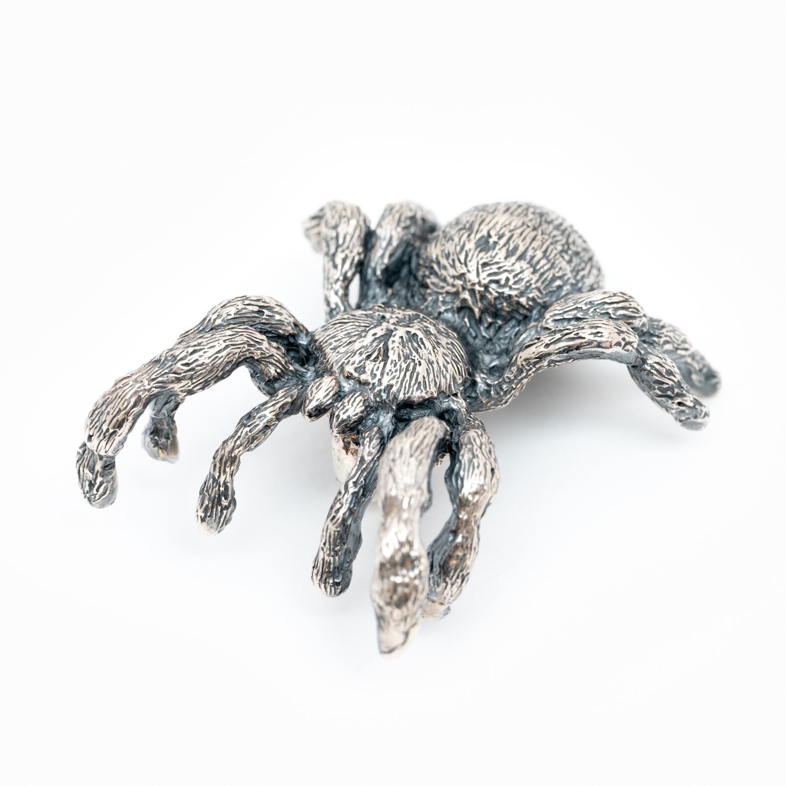 バードイータータランチュラペンダント | Cold I's 公式