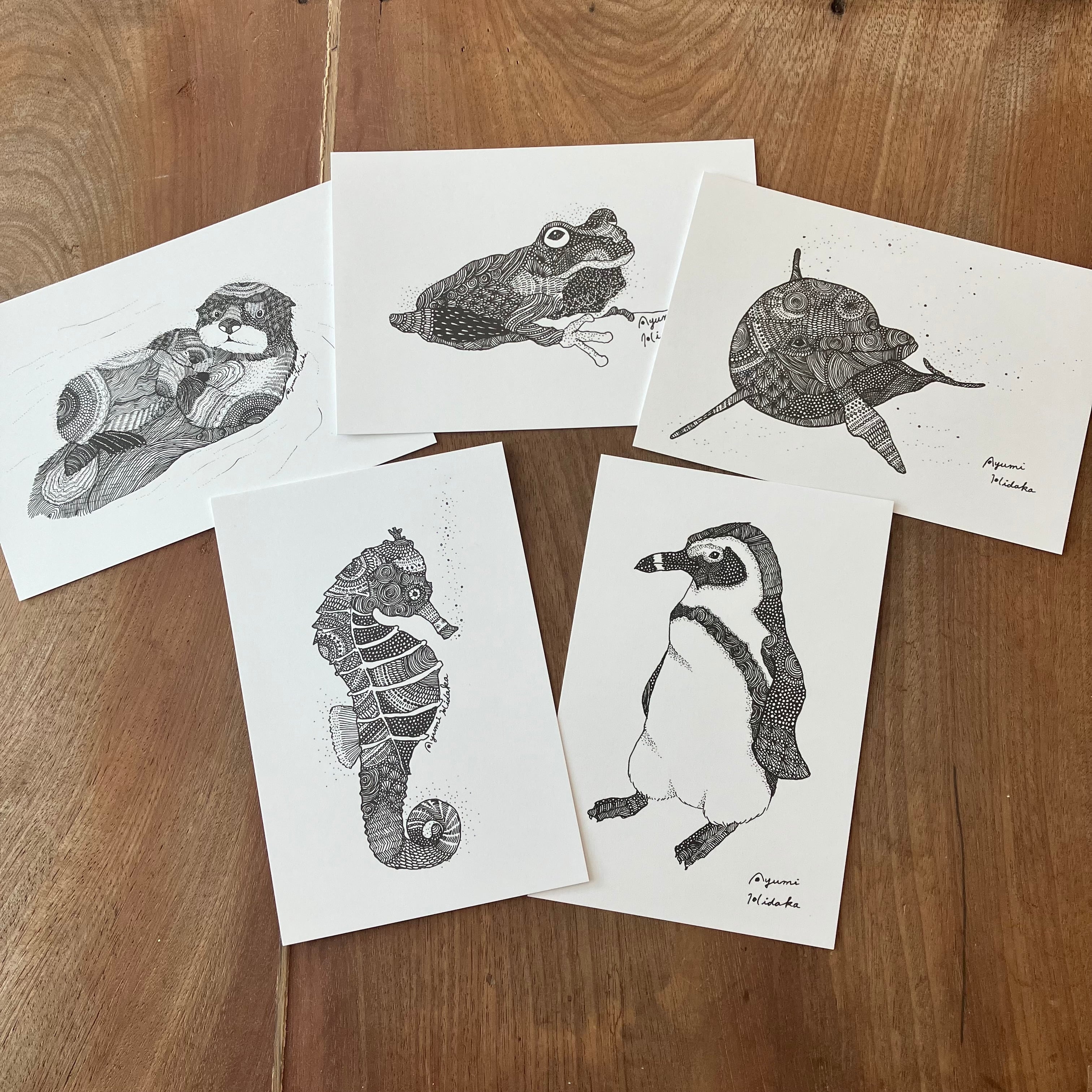 ポストカード5枚【夏セット】 | 日高あゆみ / ペン画アーティスト