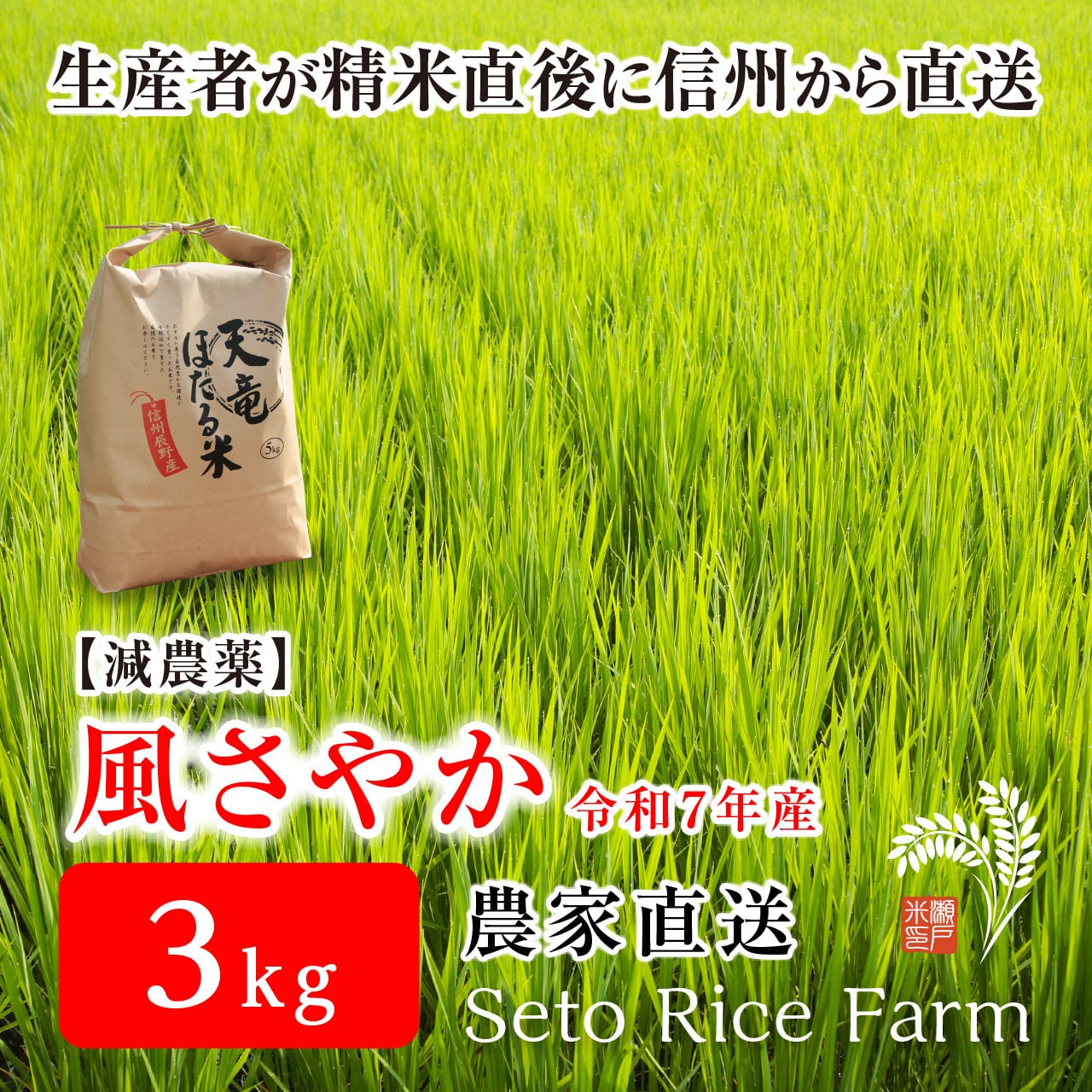 R7年度】減農薬 風さやか 3kg あっさりとした食感が女性に好評