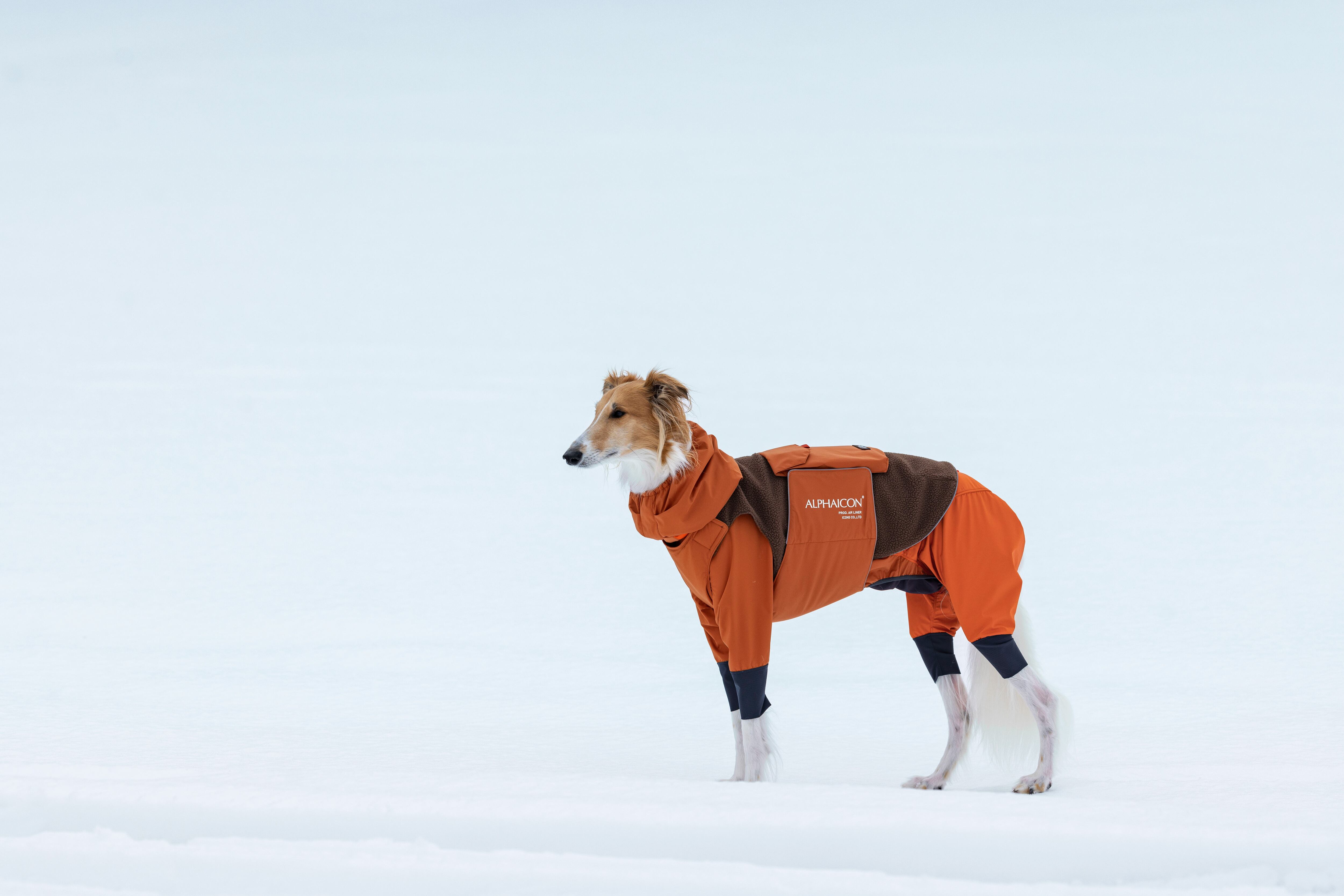 DXM】SNOW DOG GUARD スノードッグガード ALPHAICON アルファアイコン 