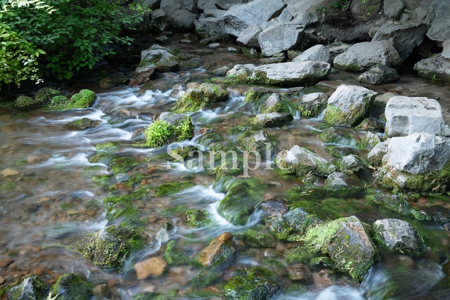 シャスタ湧水【メタルプリントM】エネルギーフォト　　