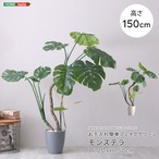 お手入れ簡単フェイクグリーン モンステラ Mサイズ(150cm)