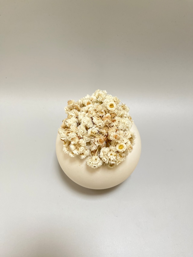 Pearly everlasting object 山母子のインテリアオブジェ