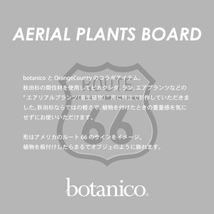 【着生植物用ボード】AERIAL PLANTS BOARD - M（着生ボード）
