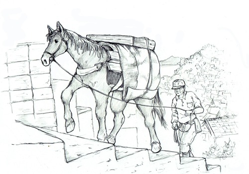 「対州馬の荷運び／イラスト」画像ファイル