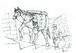 「対州馬の荷運び／イラスト」画像ファイル
