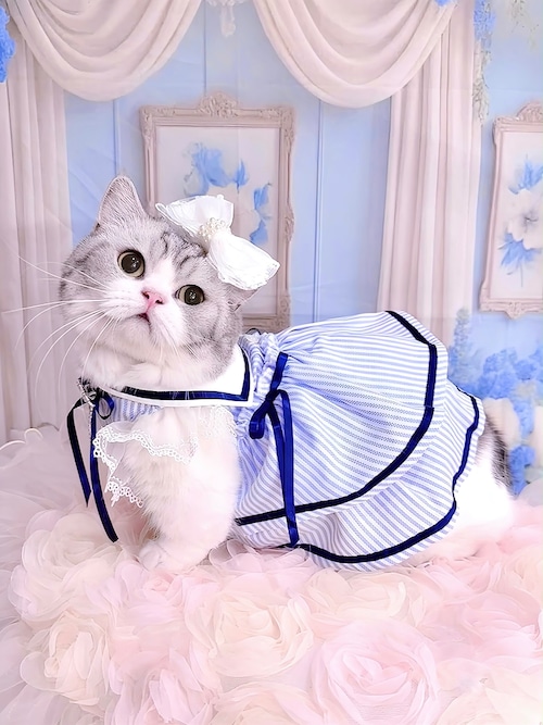 Petite Écolière — Limited Cat Edition(プティット・エコリエール - リミテッド・キャットエディション)